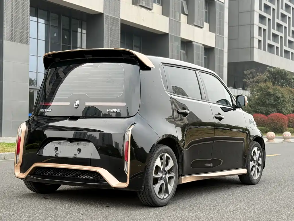 Euler White Cat 2022 Little Wildcat Edition 360km Luxury Model Three Yuan Lithium купить на сайте DeffCars