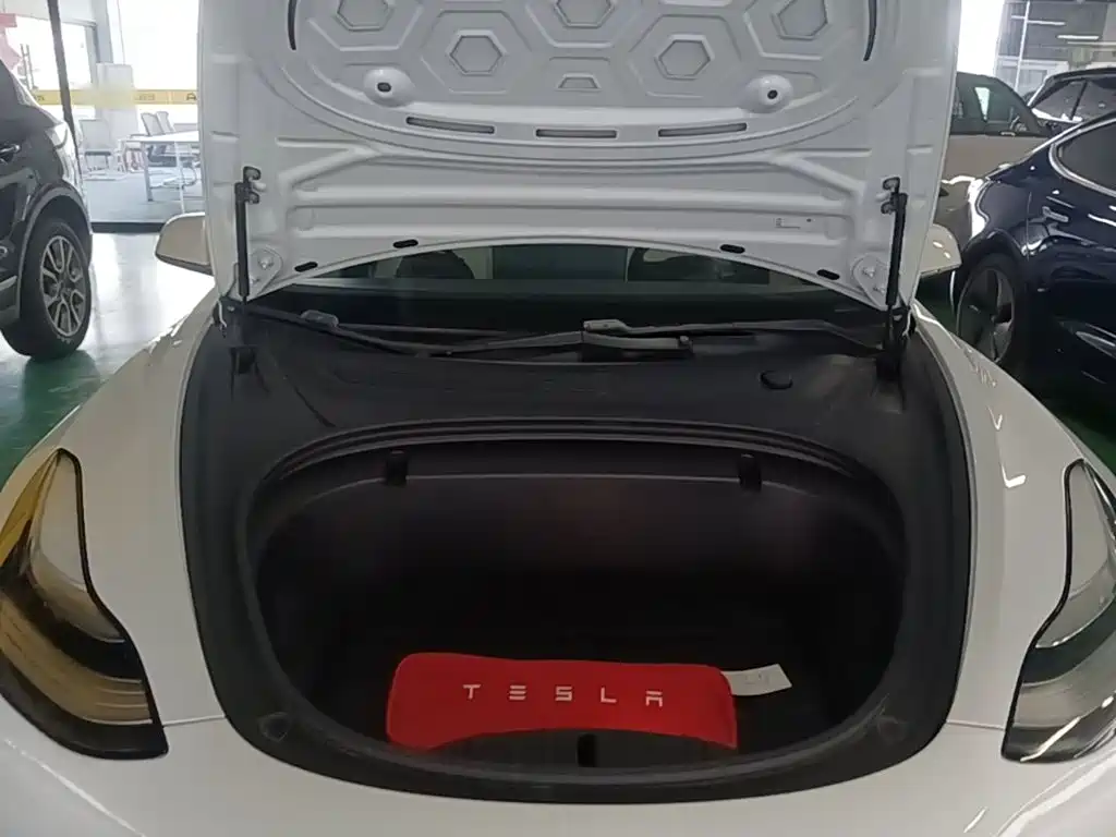 Model 3 imported 2019 standard range rear drive upgraded version купить на сайте DeffCars