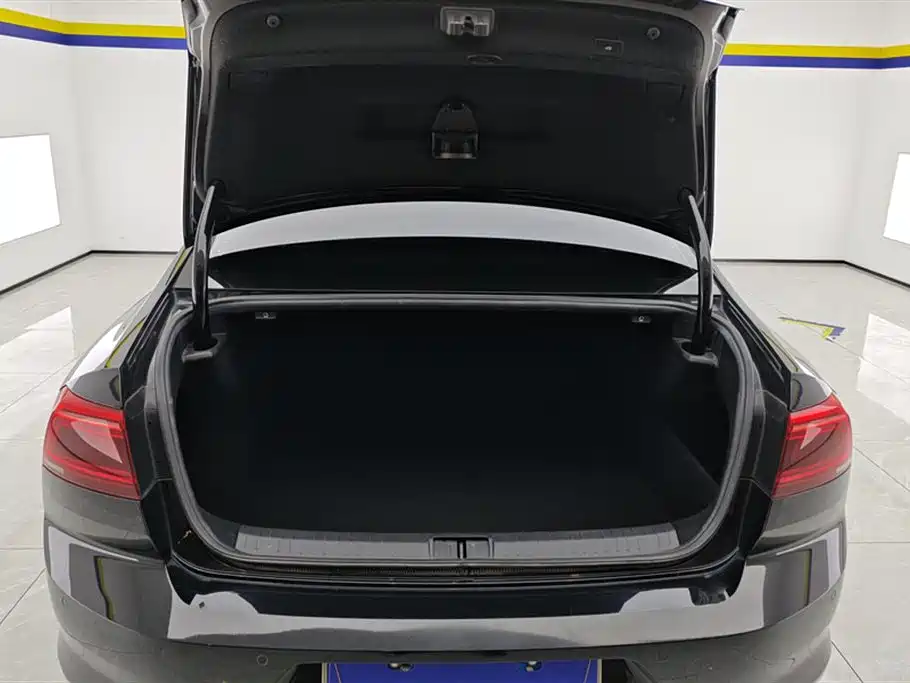 Magotan 2020 330TSI DSG luxury model купить на сайте DeffCars