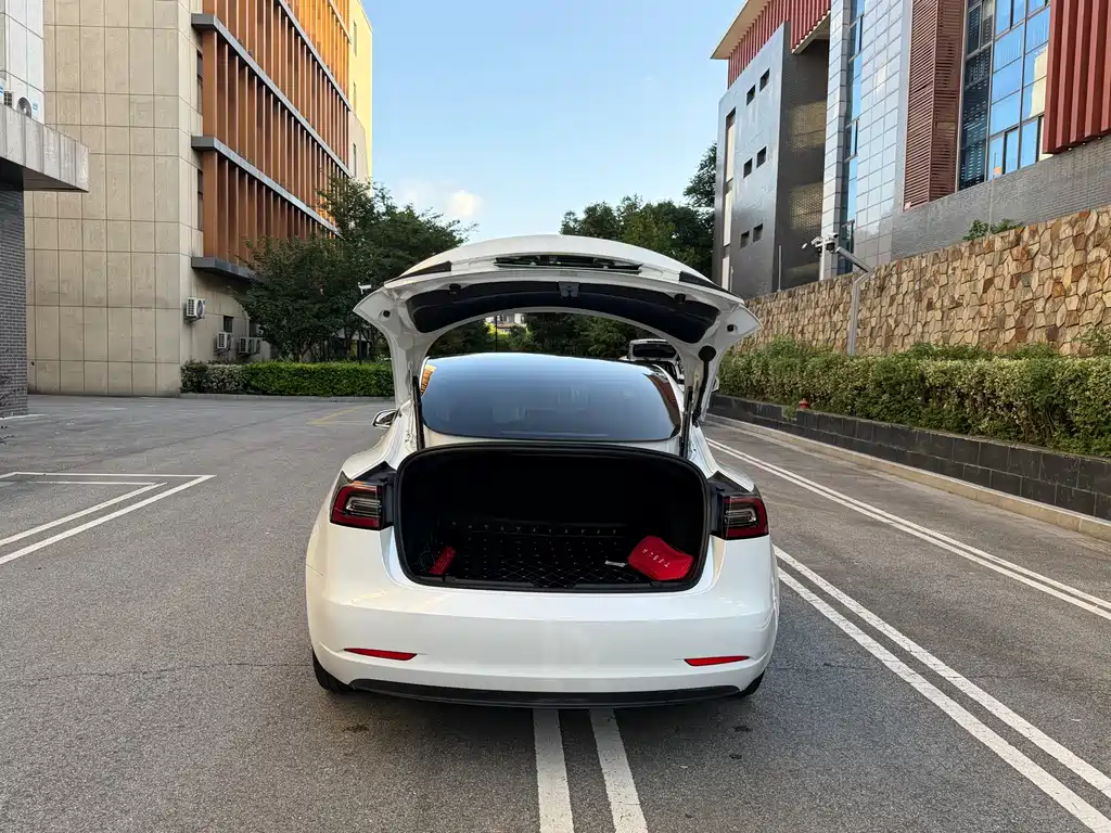 Model 3 2019 standard range rear drive upgraded version купить на сайте DeffCars