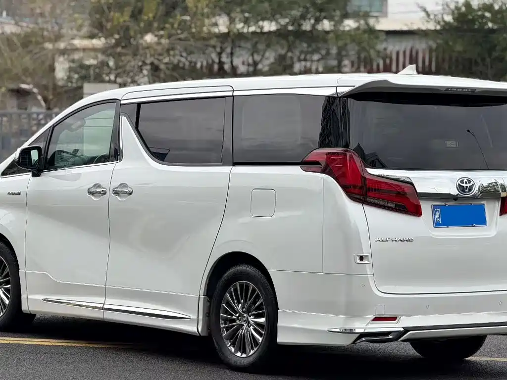 Alfa 2020 Shuangqing 2.5L Premium Edition купить на сайте DeffCars