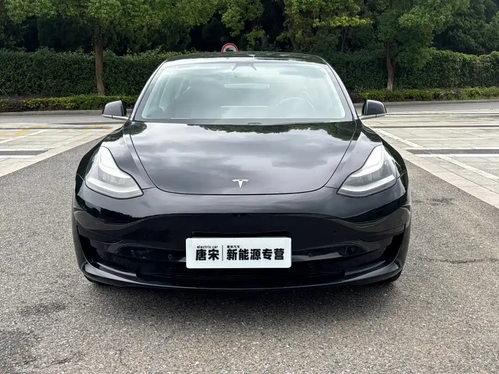 Model 3 2020 Standard Range Rear Drive Upgraded Version купить на сайте DeffCars