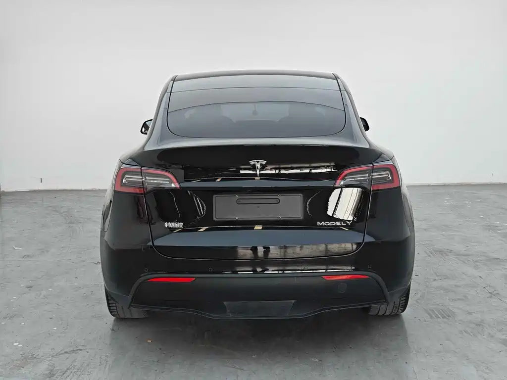 Model Y 2021 standard range rear-wheel drive version купить на сайте DeffCars
