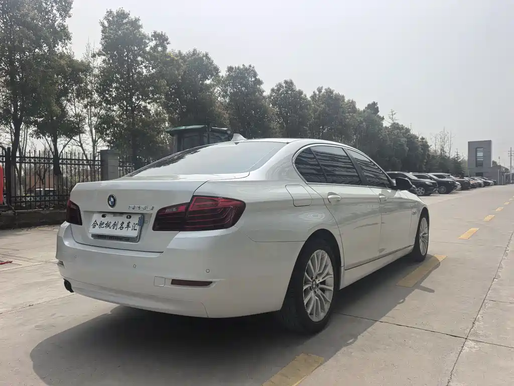 BMW 5 Series 2017 520Li Elegant купить на сайте DeffCars