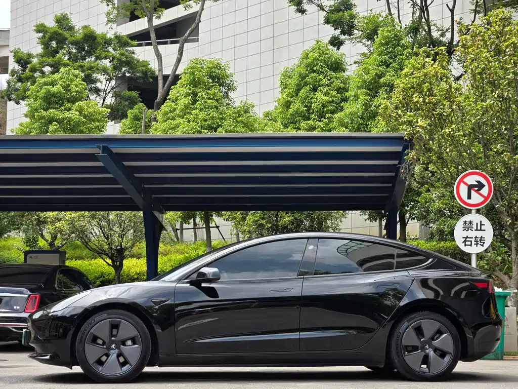 Model 3 2022 rear-wheel drive version купить на сайте DeffCars