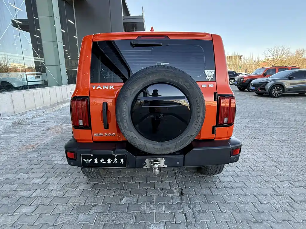 Tank 300 2021 Off-Road Version 2.0T Challenger купить на сайте DeffCars