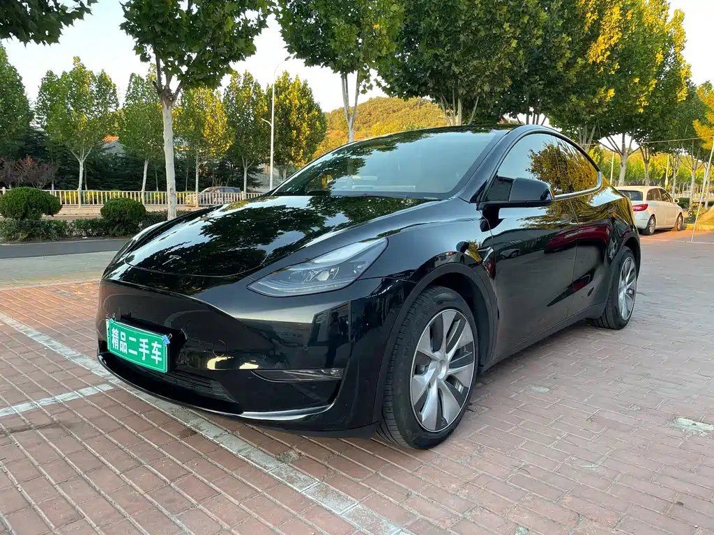 Model Y 2021 standard range rear-wheel drive version купить на сайте DeffCars