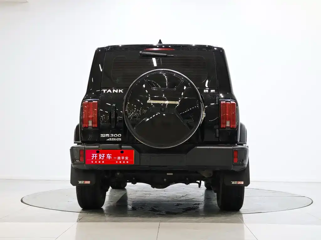 Tank 300 2021 City Edition 2.0T Very Stylish купить на сайте DeffCars