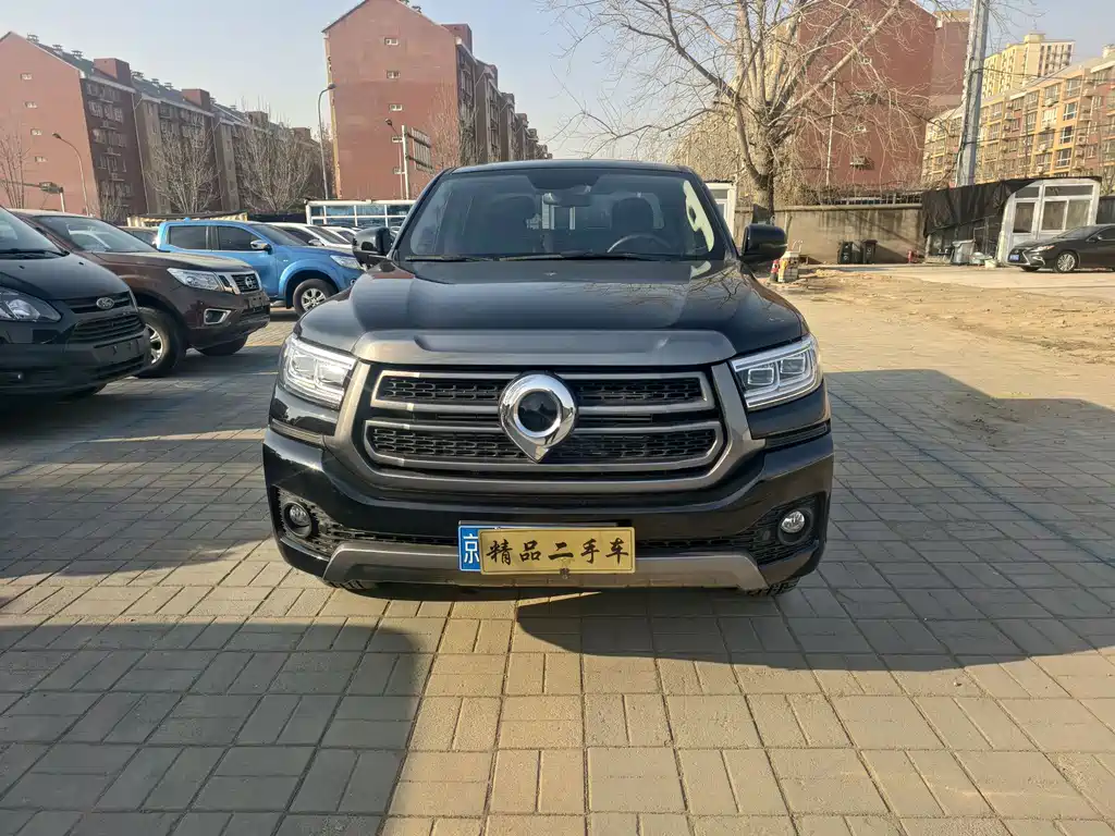 Cannon 2023 2.0T passenger version automatic gasoline four-wheel drive comfort model GW4C20B купить на сайте DeffCars