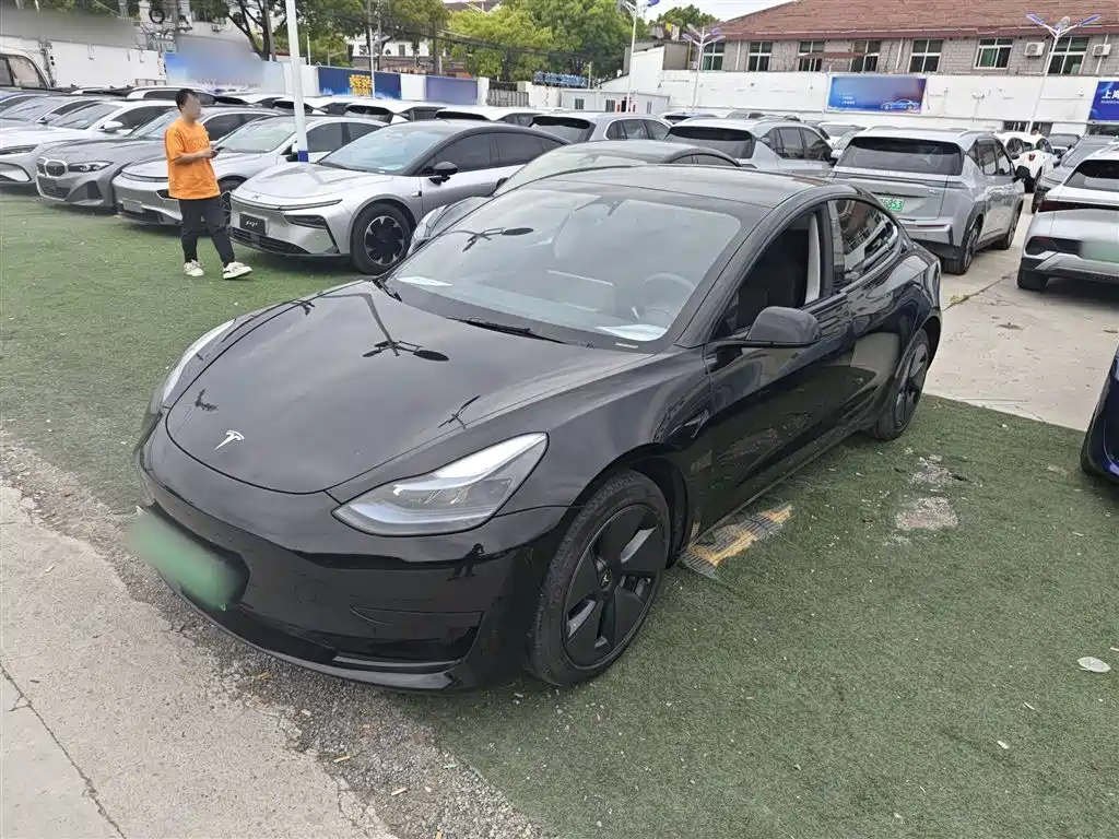 Model 3 2022 rear-wheel drive version купить на сайте DeffCars