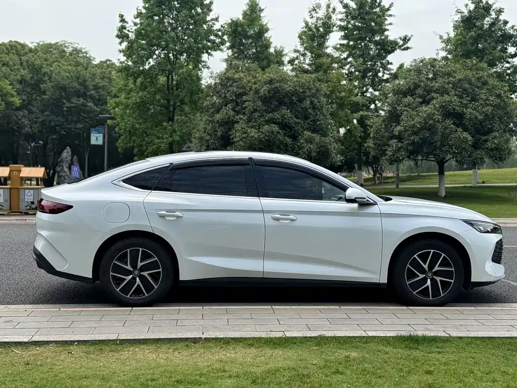 Qin L 2024 DM-i 120KM leading model купить на сайте DeffCars