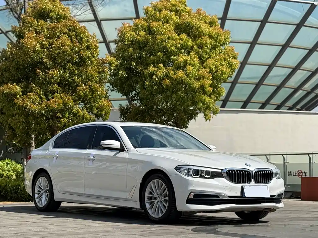 BMW 5 Series 2019 530Li Leading Luxury Package купить на сайте DeffCars