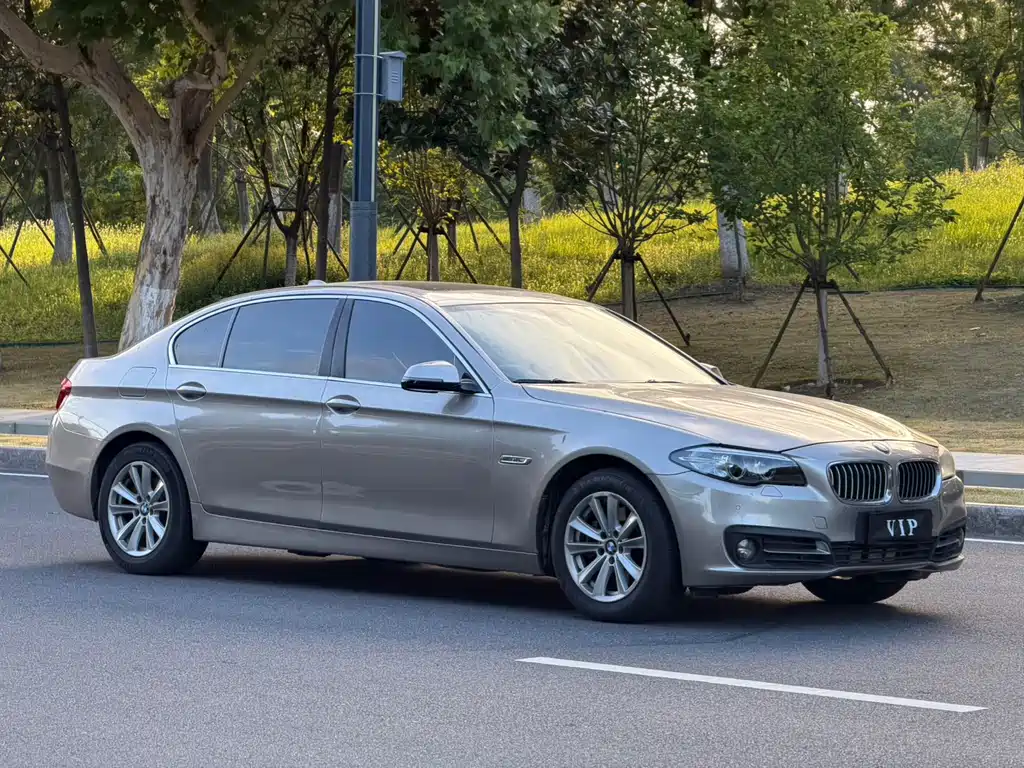 BMW 5 Series 2017 520Li Elegant купить на сайте DeffCars