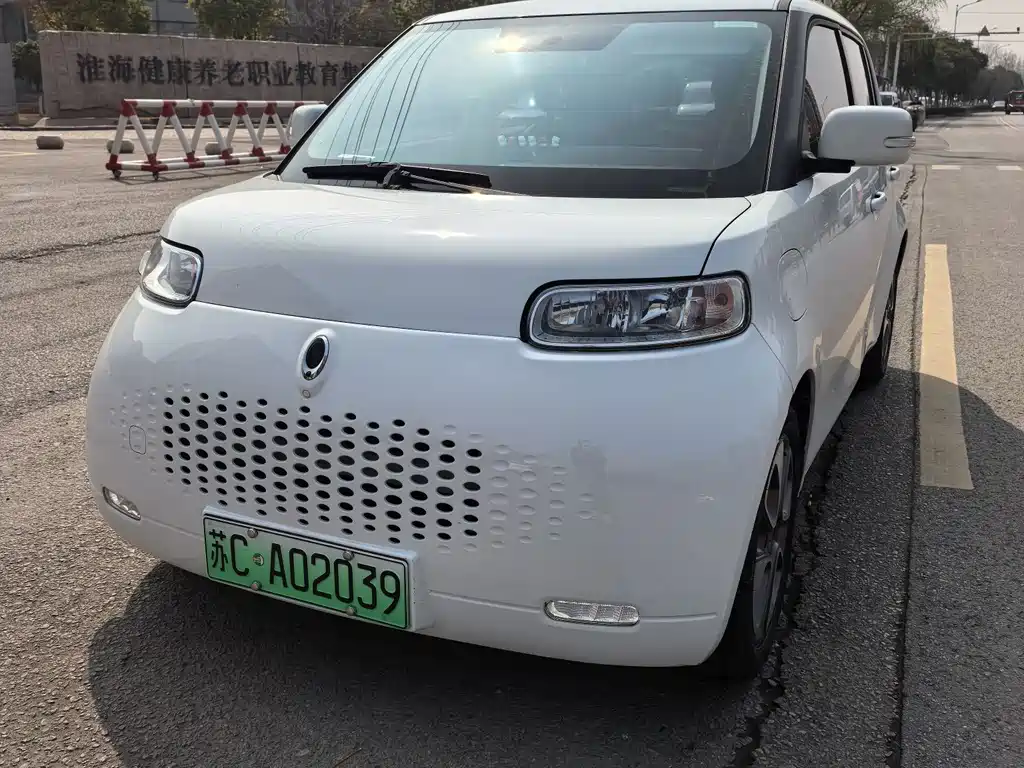 Euler White Cat 2020 305km luxury model купить на сайте DeffCars