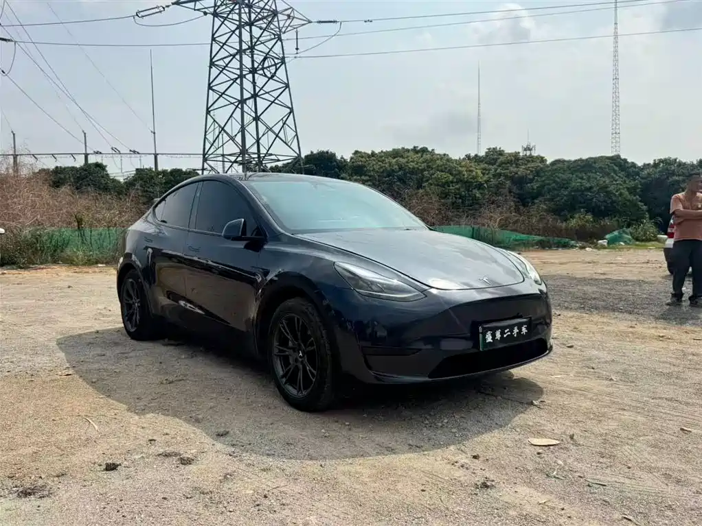 Model Y 2024 rear-wheel drive version купить на сайте DeffCars