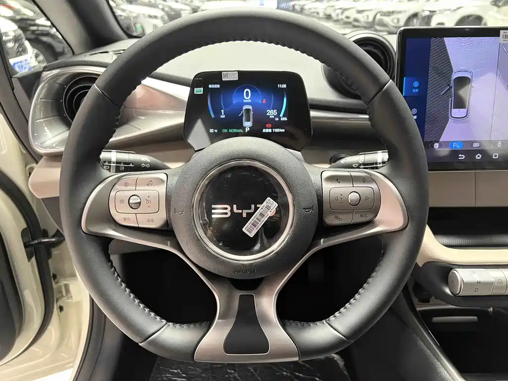 Dolphin 2025 420km Free Edition купить на сайте DeffCars