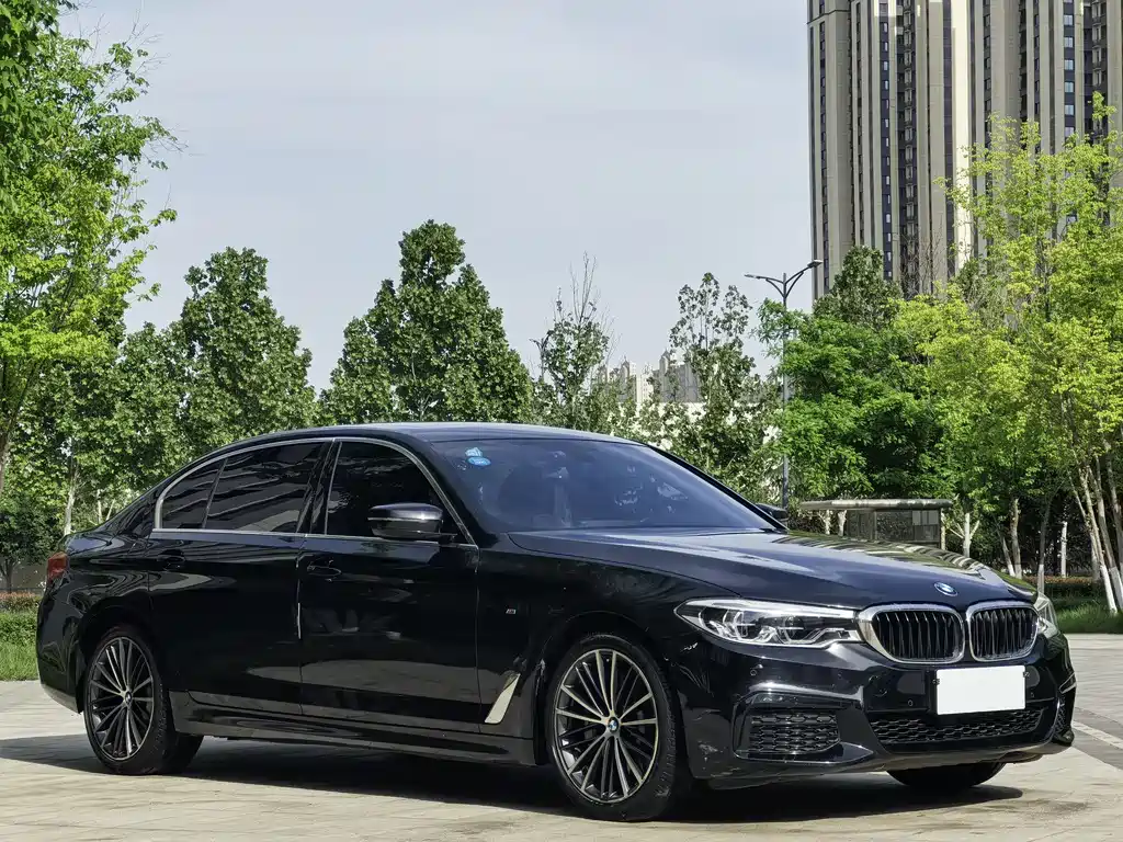 BMW 5 Series 2020 530Li Leading M Sports Package купить на сайте DeffCars