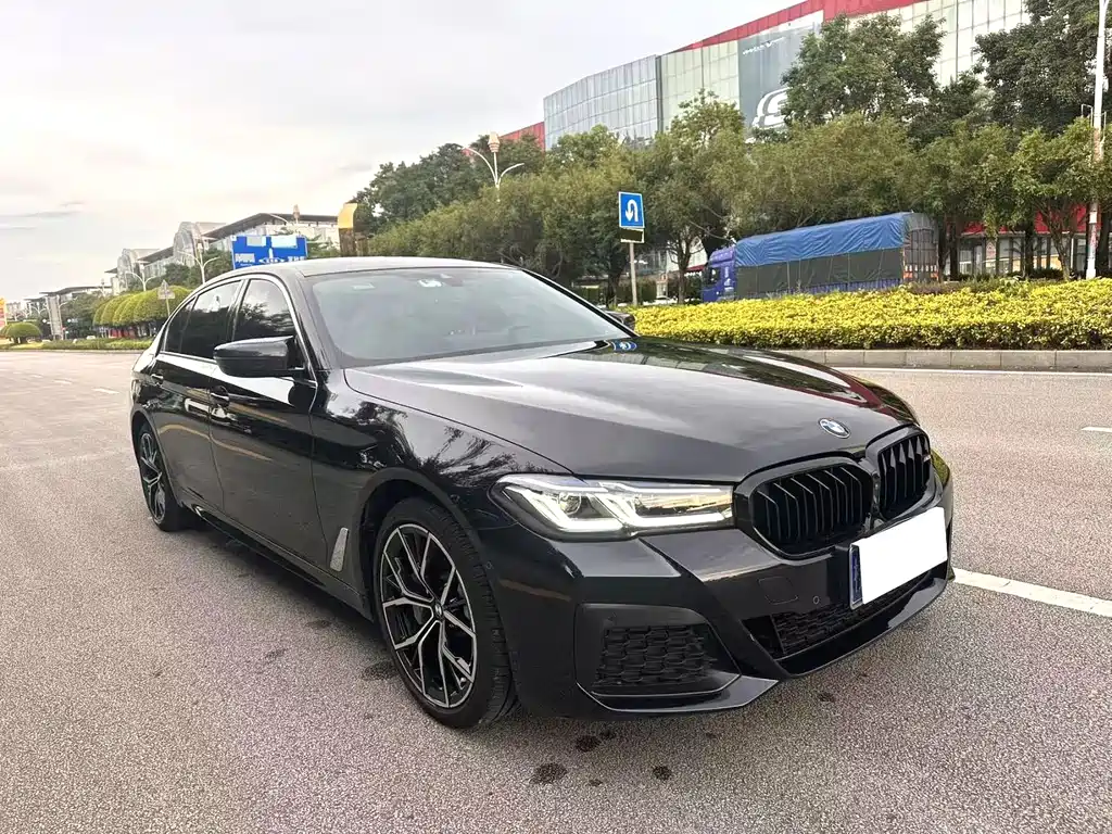 BMW 5 Series 2019 525Li Luxury Package купить на сайте DeffCars