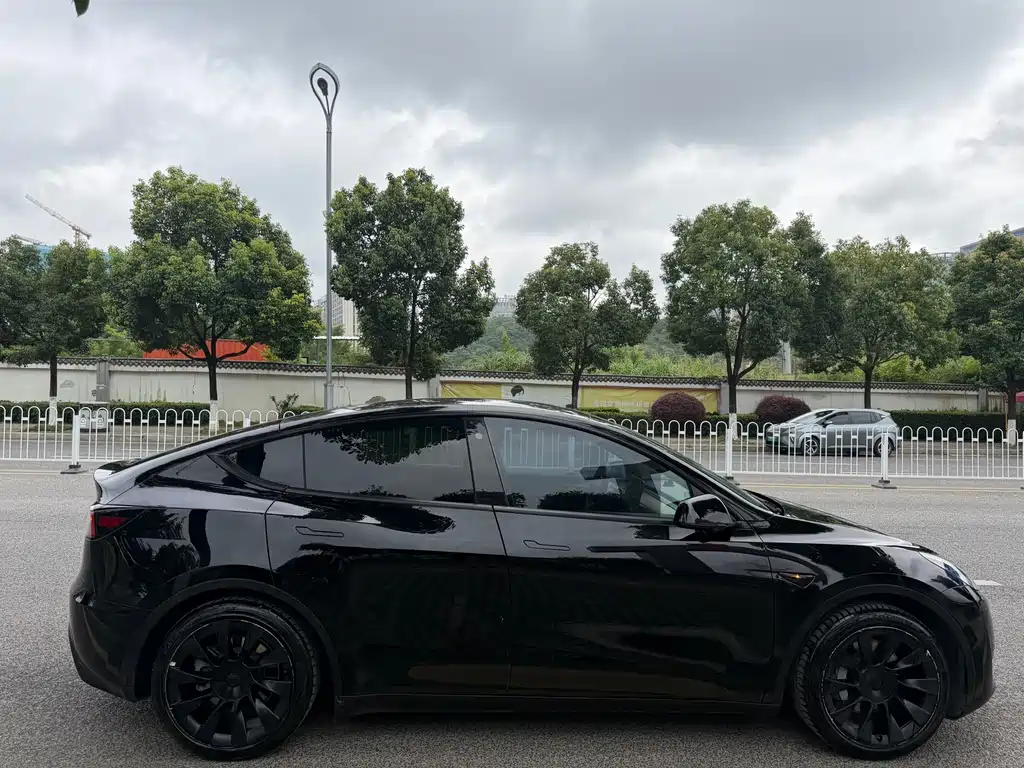 Model Y 2022 rear-wheel drive version купить на сайте DeffCars