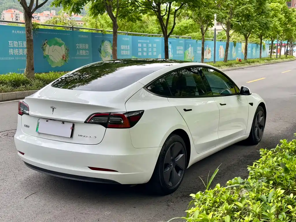 Model 3 2022 rear-wheel drive version купить на сайте DeffCars