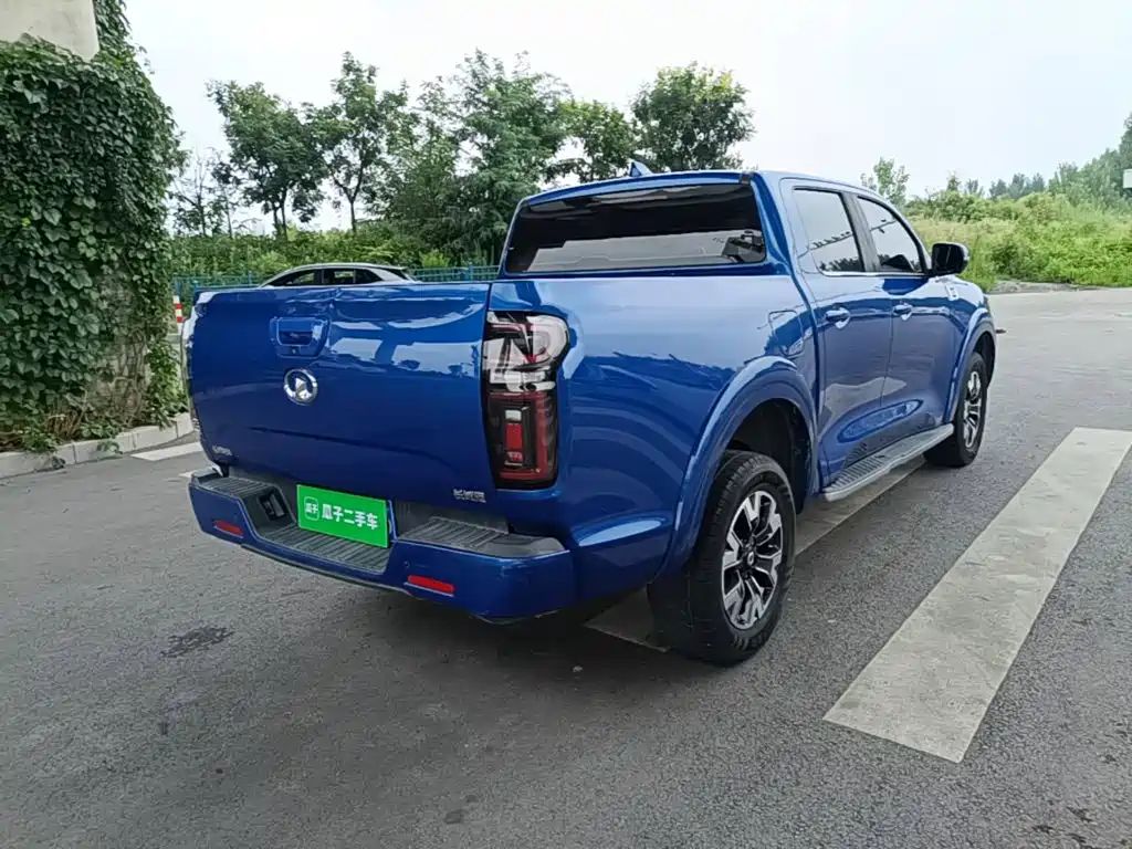 Cannon 2020 2.0T automatic diesel two-wheel drive comfort version GW4D20M купить на сайте DeffCars