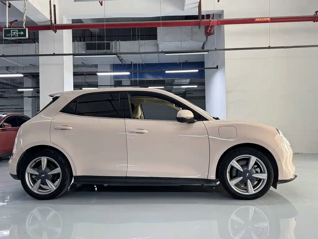 Euler Good Cat 2021 model 400km standard battery life Venus version ternary lithium купить на сайте DeffCars
