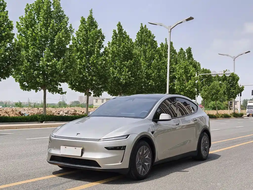 Model Y L 2025 long-range all-wheel drive version купить на сайте DeffCars