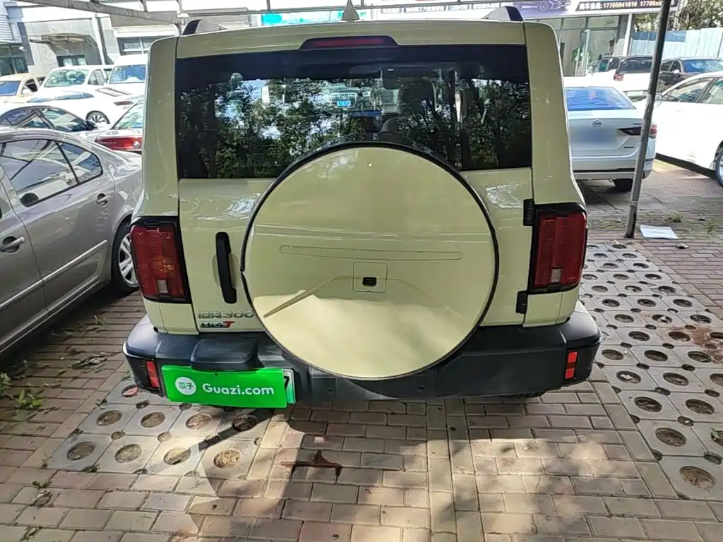 Tank 300 New Energy 2025 Hi4-T 37.1kWh купить на сайте DeffCars