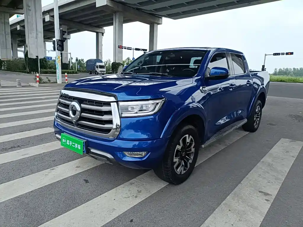 Cannon 2020 2.0T automatic diesel two-wheel drive comfort version GW4D20M купить на сайте DeffCars