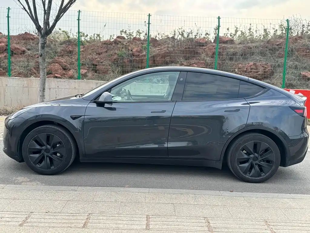 Model Y 2024 rear-wheel drive version купить на сайте DeffCars
