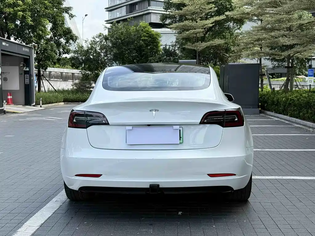 Model 3 2019 standard range rear drive upgraded version купить на сайте DeffCars