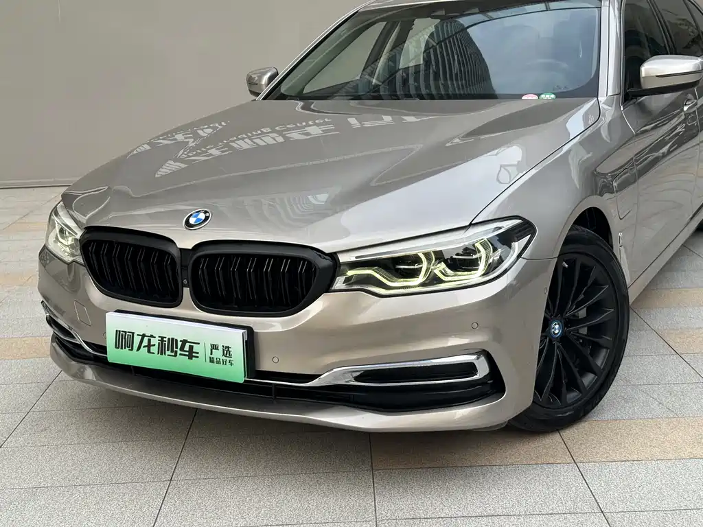BMW 5 Series New Energy 2019 Model 530Le Luxury Package купить на сайте DeffCars