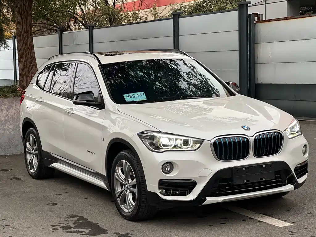BMW X1 New Energy 2018 xDrive25Le Luxury Model купить на сайте DeffCars