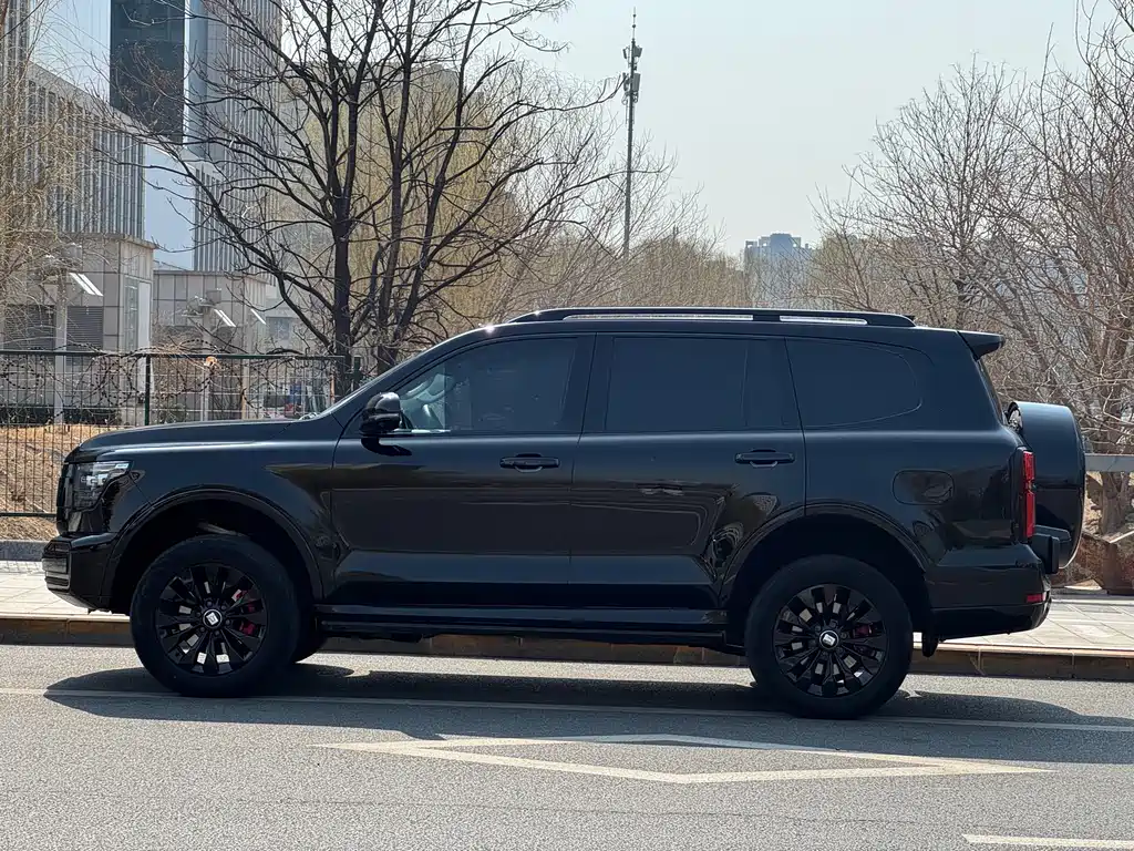 Tank 500 New Energy 2024 Hi4-T Black Warrior Edition купить на сайте DeffCars
