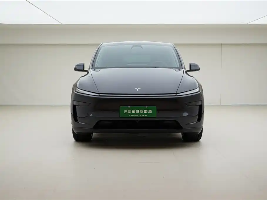 Model Y 2025 long-range all-wheel drive version купить на сайте DeffCars