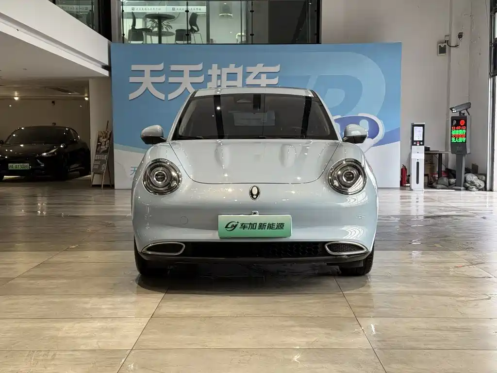 Euler Good Cat 2021 Model 400km Standard Range Venus Edition Lithium Iron Phosphate купить на сайте DeffCars