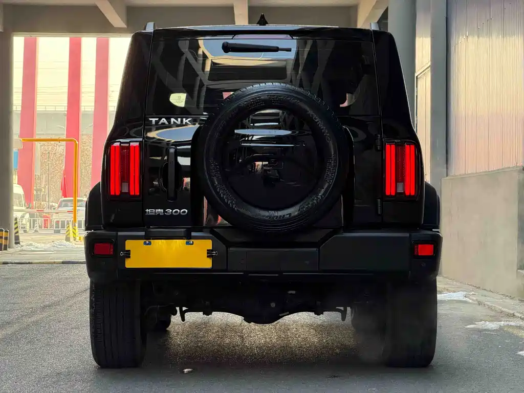 Tank 300 2023 Off-Road Version 2.0T Conqueror купить на сайте DeffCars