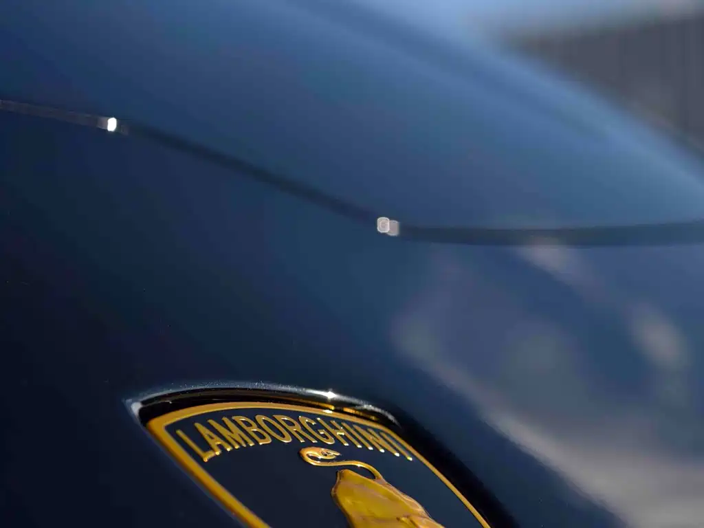Huracán 2020 Huracán EVO RWD купить на сайте DeffCars