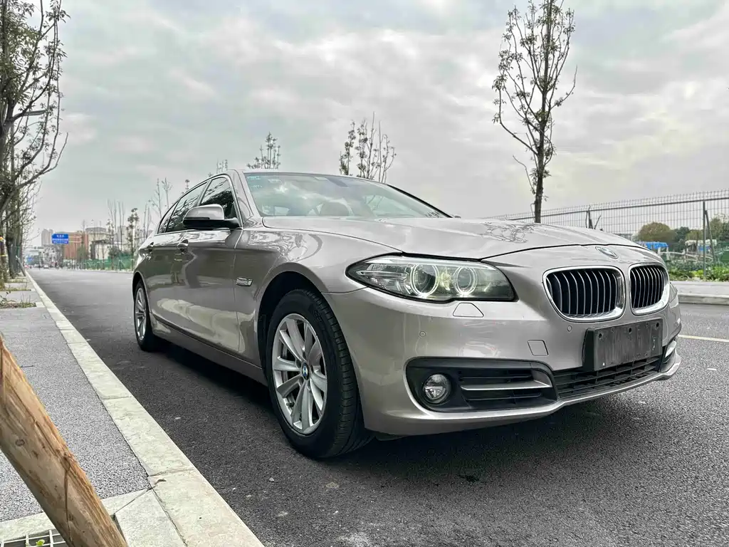 BMW 5 Series 2013 520Li Elegant купить на сайте DeffCars