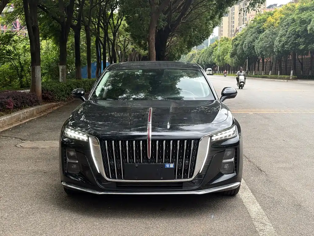 Hongqi H5 2023 2.0T Automatic Intelligent Connected Flag Edition купить на сайте DeffCars
