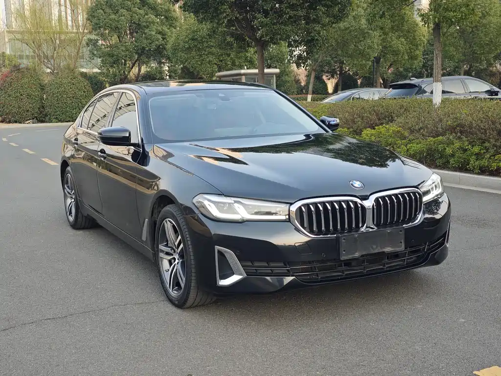 BMW 5 Series 2021 530Li Leading Luxury Package купить на сайте DeffCars