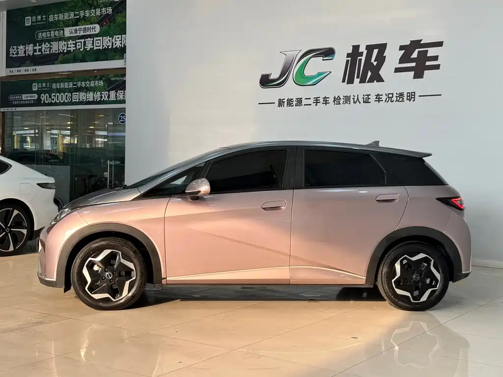 Dolphin 2021 405km fashion version купить на сайте DeffCars