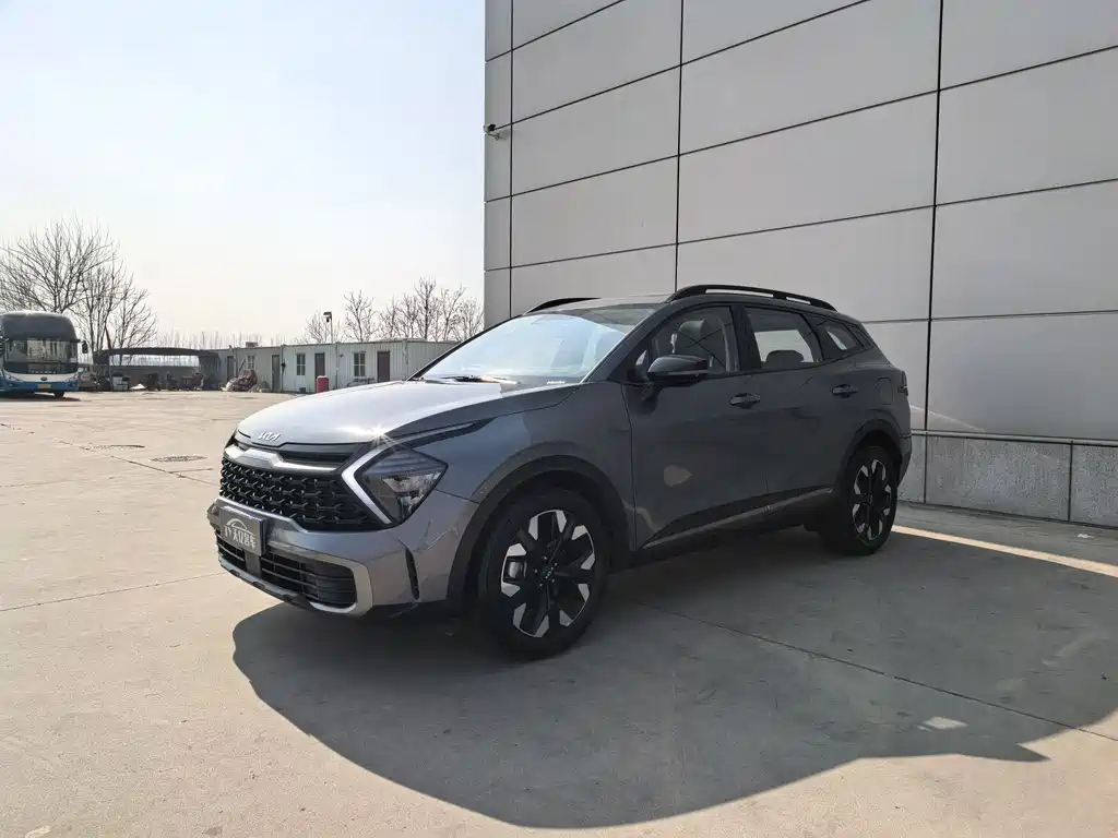Lion Expands the World 2025 2.0T Two-wheel Drive Premium Edition купить на сайте DeffCars