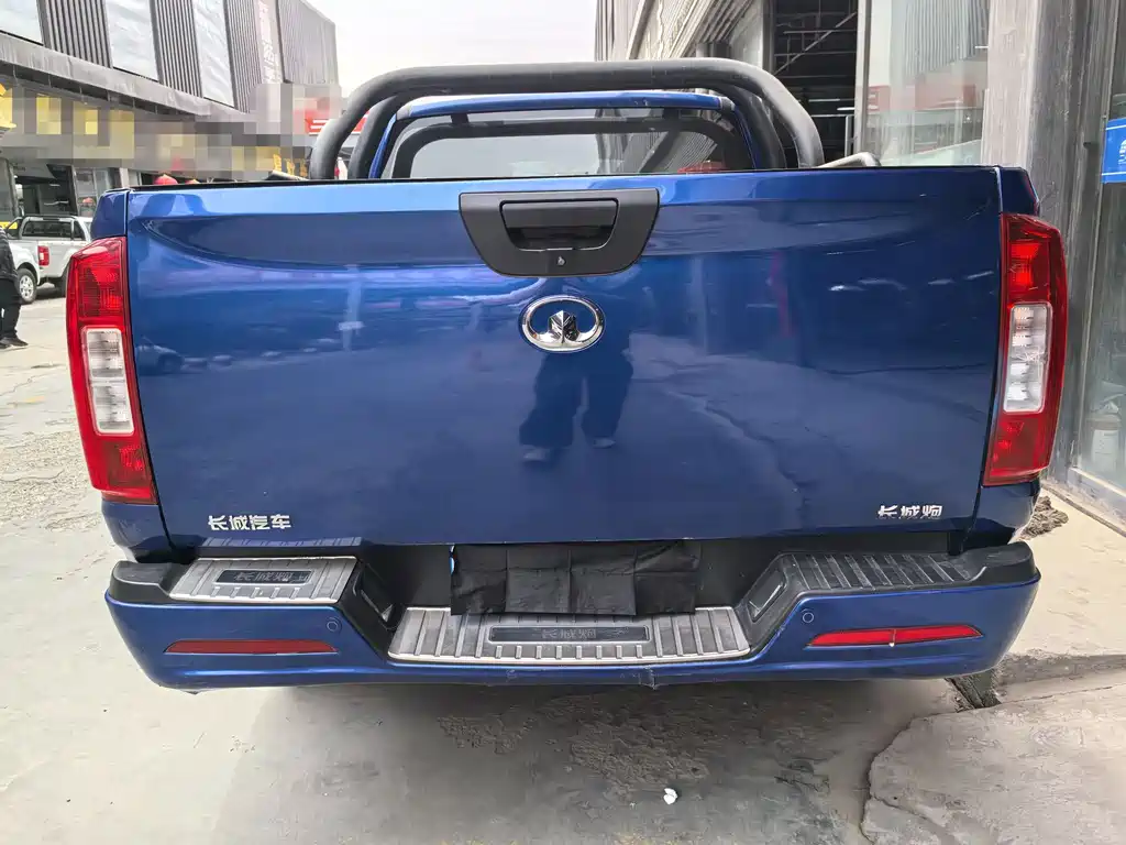 Cannon 2021 2.0T commercial version manual diesel two-wheel drive elite long box GW4D20M купить на сайте DeffCars