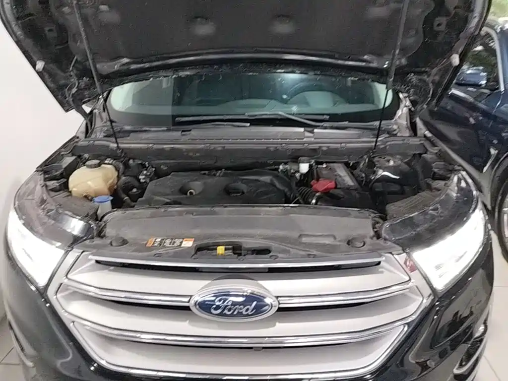 Ruijie 2018 EcoBoost 245 2WD Platinum 7-seater National V купить на сайте DeffCars
