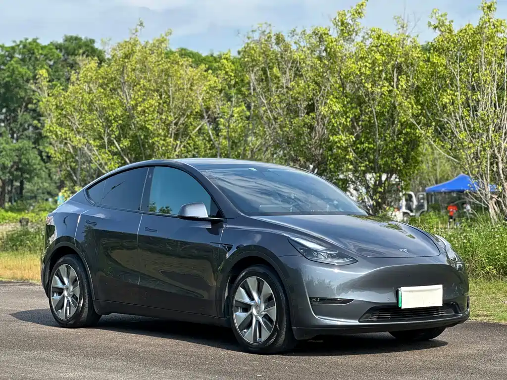 Model Y 2021 long-range all-wheel drive version купить на сайте DeffCars