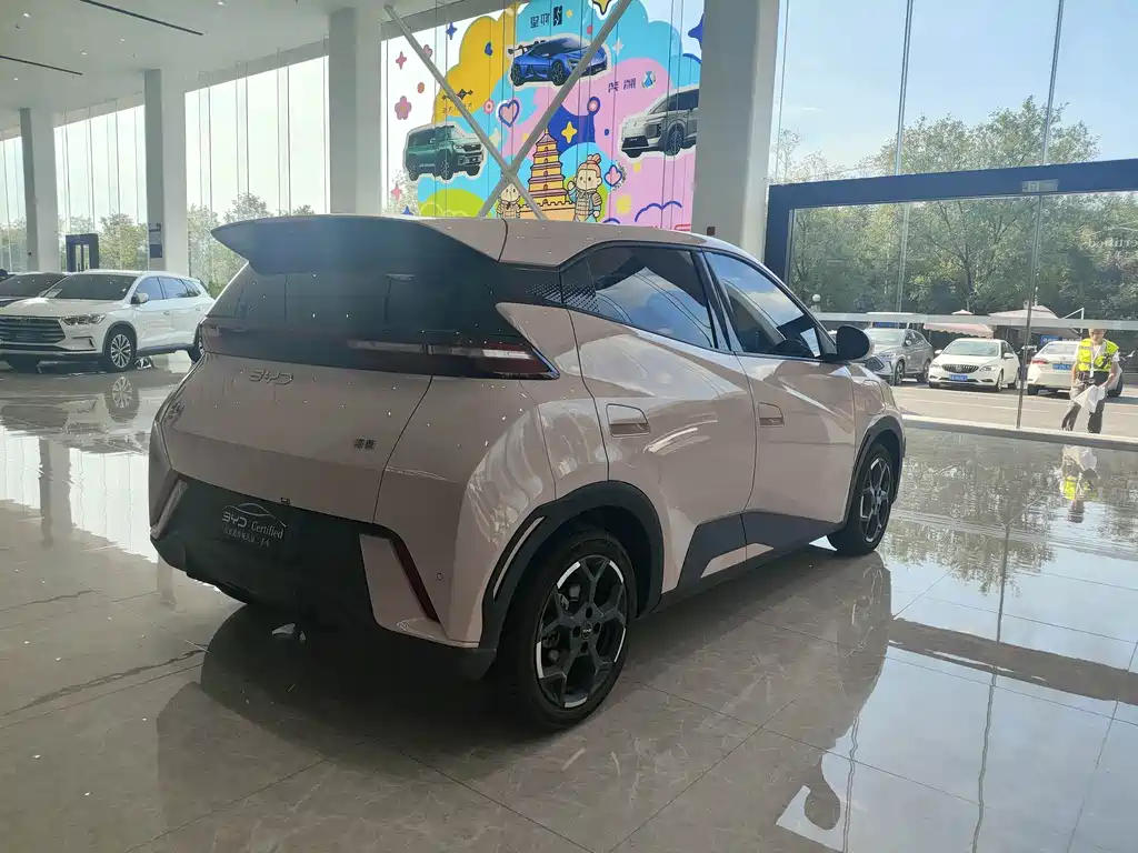 Seagull 2025 model 305km free version купить на сайте DeffCars