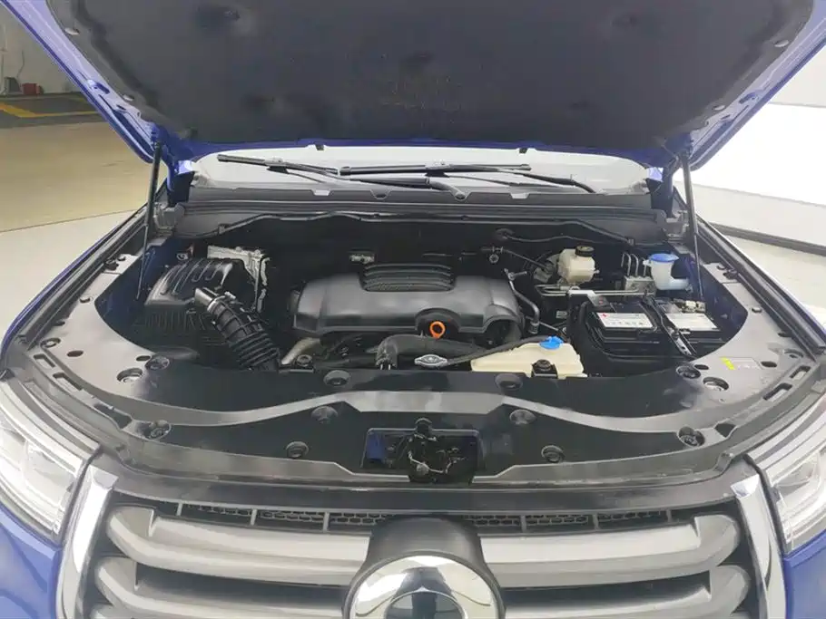 Cannon 2019 2.0T automatic gasoline two-wheel drive comfort version GW4C20B купить на сайте DeffCars