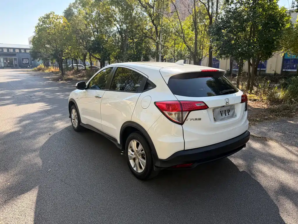 Binzhi 2019 1.5L CVT Pioneer Edition National V купить на сайте DeffCars