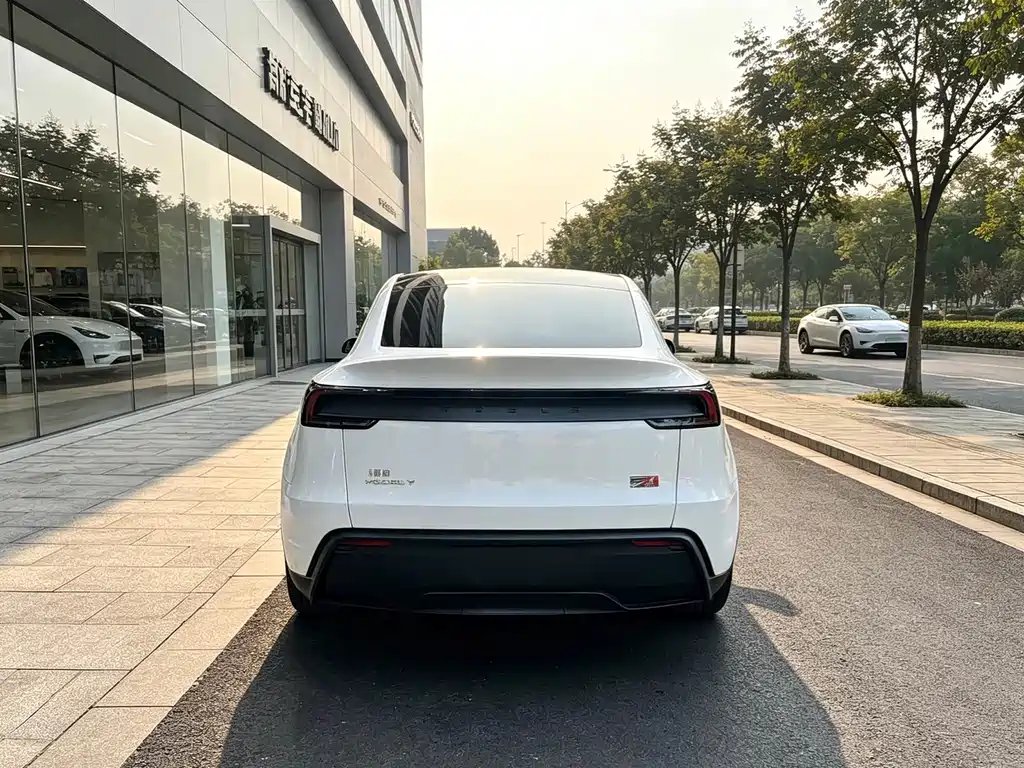 Model Y 2025 rear-wheel drive first edition купить на сайте DeffCars